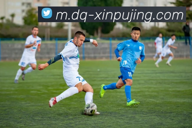 澳门新葡京娱乐服务体系